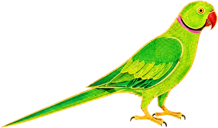 the fortune-teller parrot